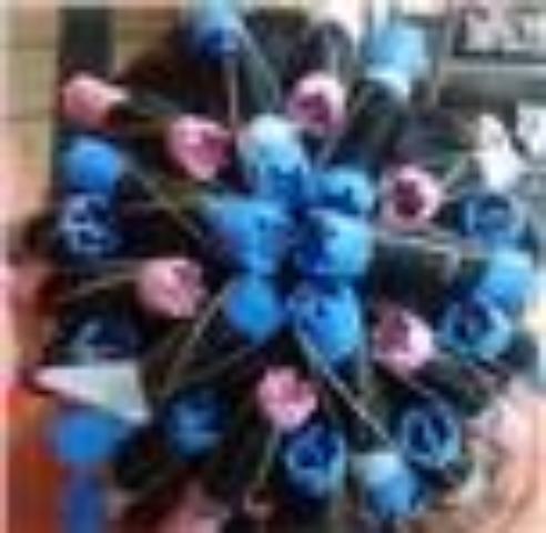 模块化教学-零基础初学者最快上手